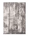 Safavieh Spirit Power-loomed Polypropylene-blend Contemporary Rug