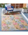 Safavieh Summer Colora Power-loomed Indoor/outdoor Rug In Multi