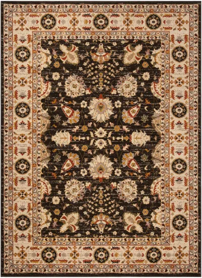 Safavieh Summit Collection Rug In Brown