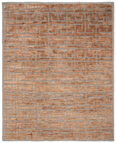 Safavieh Tangier Collection Rug In Brown