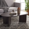Safavieh Tayson Coffee Table