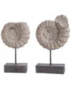 Safavieh Lena Set Of 2 Ammonite Shells Table Decor In Black
