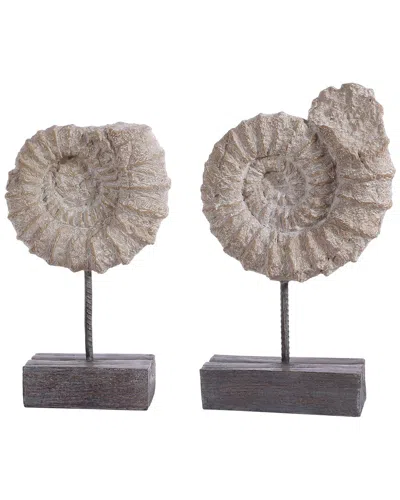 Safavieh Lena Set Of 2 Ammonite Shells Table Decor In Black