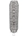 Safavieh Wilde 50in Floor Lamp