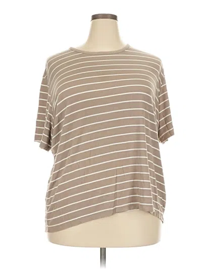 Pre-owned Sag Harbor Short Sleeve T-shirt In Brown