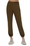 Sage Collective Sage Collective Skinny Performance Joggers In Desert Palm