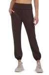 Sage Collective Sage Collective Skinny Performance Joggers In Mulch