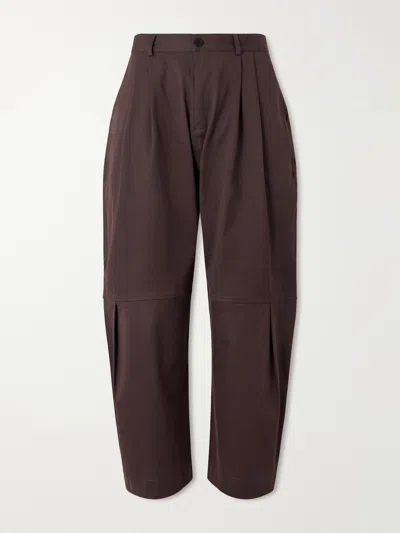 Sage Nation Zushi Wide-leg Pleated Cotton-blend Trousers In Brown