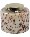 Sagebrook Home 9in 180oz Cinnamon Speckle Lidded Candle In Neutral