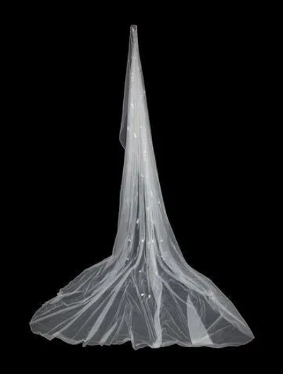 Pre-owned Saiid Kobeisy Beaded Veil In Neutral