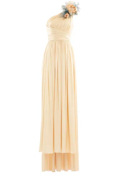 Saiid Kobeisy Long Coco Pleated Dress In Brown