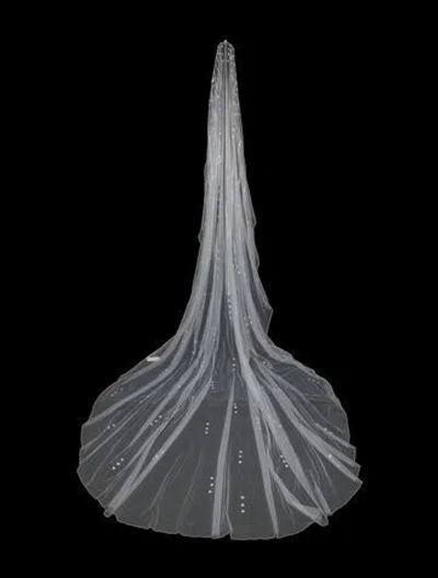Pre-owned Saiid Kobeisy Tulle Veil In Neutral