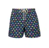 Saint Barth - Boxer Clownfish Blue 02949f