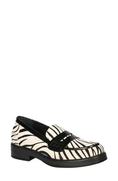Saint G Zuri Zebra Loafer In Multi
