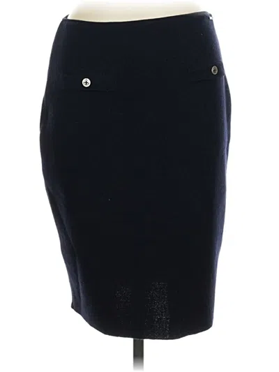 Pre-owned Saint James Wool Skirt In Blue