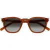 Saint Laurent 49mm Small Round Sunglasses In Brown
