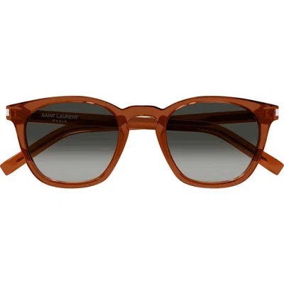 Saint Laurent 49mm Small Round Sunglasses In Brown