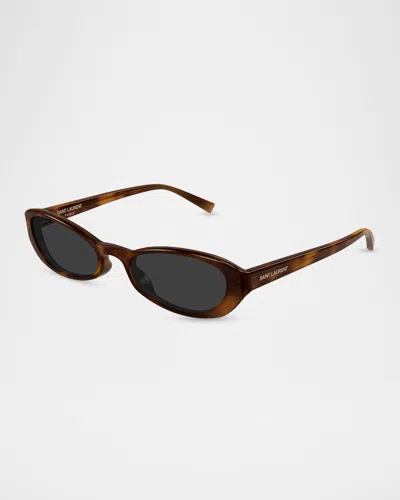 Saint Laurent 51mm Acetate Oval Sunglasses In Brown