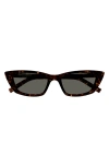 Saint Laurent Sleek Acetate Cat-eye Sunglasses In Havana