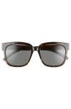 Saint Laurent 54mm Square Sunglasses In Dark Havana/grey