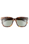 Saint Laurent 54mm Square Sunglasses In Havana/green