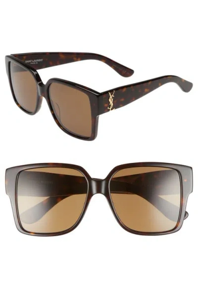 Saint Laurent 55mm Square Sunglasses In Havana/havana/brown