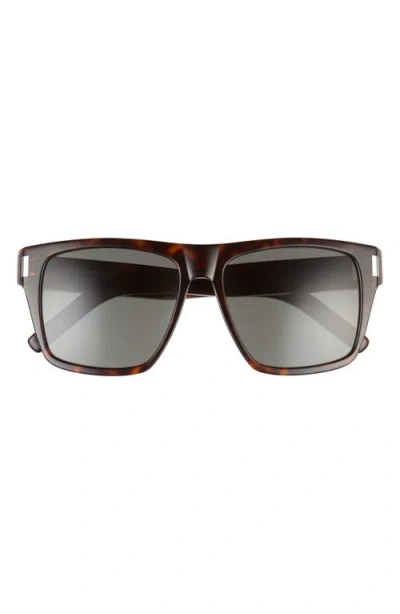 Saint Laurent 56mm Square Sunglasses In Avana/brown