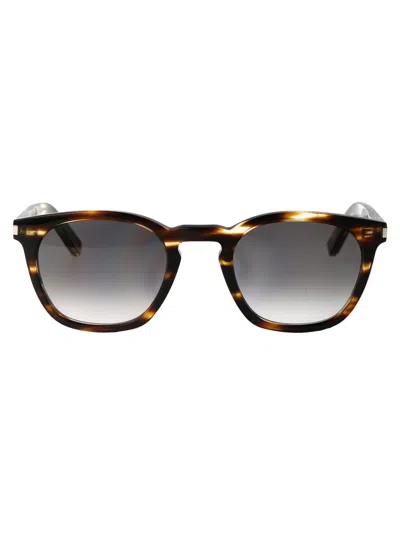 Saint Laurent Acetate Havana Sunglasses In Brown