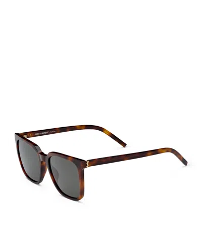 Saint Laurent Acetate Sl M146 Sunglasses In Brown