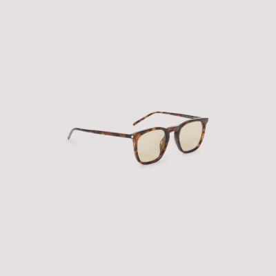 Saint Laurent Acetate Sunglasses Unica In Brown