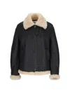 Saint Laurent Leather Jacket With Shearling Collar In Brown