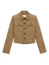 Saint Laurent Belted Cotton Jacket In Brown