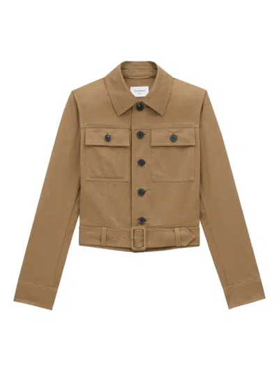 Saint Laurent Belted Cotton Jacket In Brown