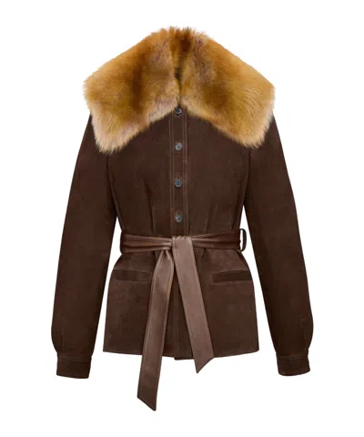 Saint Laurent Belted Jacket In Suede And Shearling In Brown