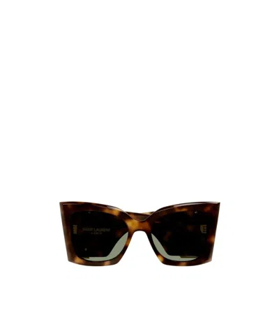 Saint Laurent Sl M119 Oversized Cat-eye Sunglasses In 002 Havana Havana Green
