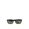 Saint Laurent Brown Acetate Sunglasses In Green
