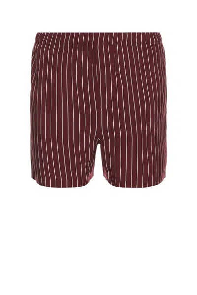 Saint Laurent Calecon Vintage Short In Bordeaux Craie