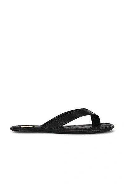 Saint Laurent Carlyle Flip Flop In Multi
