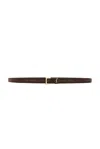 Saint Laurent Cassandre Thin Belt In Brown
