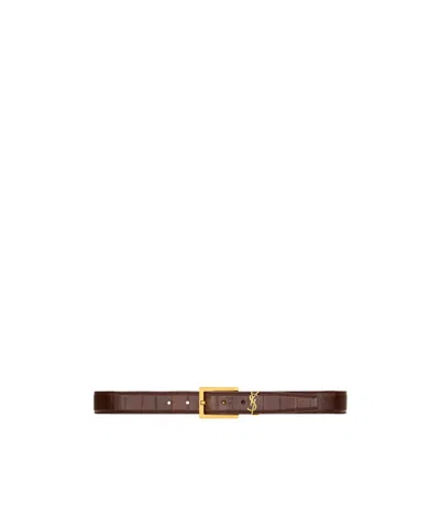 Saint Laurent Cassandre Belt In Eel In Brown