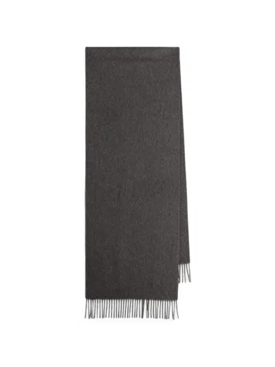 Saint Laurent Cassandre Scarf With Embroidery And Fringe In Gray