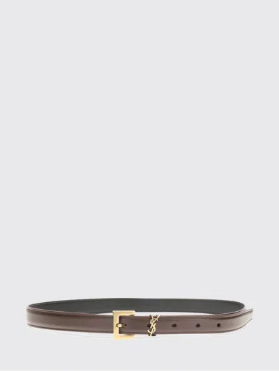 Saint Laurent Cassandre Leather Belt In Brown