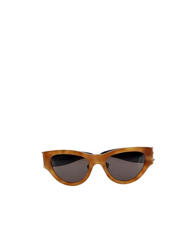 Saint Laurent Cat-eye Sunglasses In Havana, Black, Gold