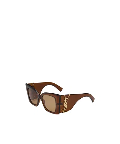 Saint Laurent Cat Eye Sunglasses In Brown