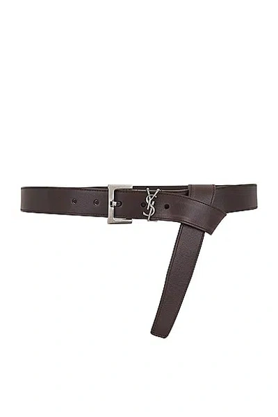 Saint Laurent Cintura Belt In Brown Oak