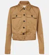 Saint Laurent Dark Beige Cropped Jacket With Belt Women In Chatain