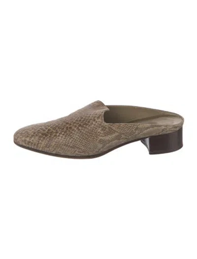 Pre-owned Saint Laurent Embossed Leather Animal Print Mules In Neutrals