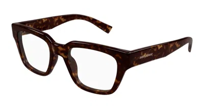 Saint Laurent Eyeglasses  Sl 804 002 Havana Havana Transpa 51/20/145 In Neutral