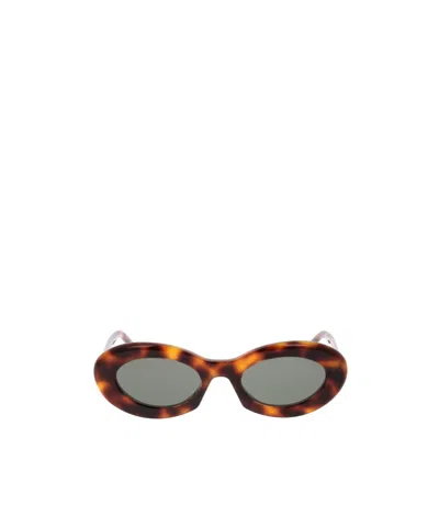 Saint Laurent Eyewear Oval Frame Sunglasses In Brown
