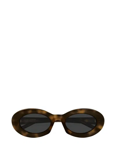 Saint Laurent Sl 594 Linea Sl Logo 009 Havana Grey Sunglasses In Multi